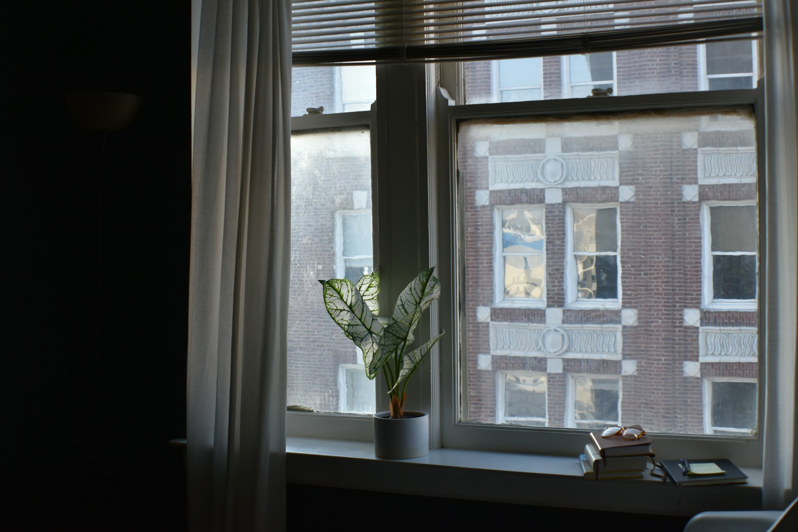 Window of a pre-war apartment looking onto brick buildings in winter light