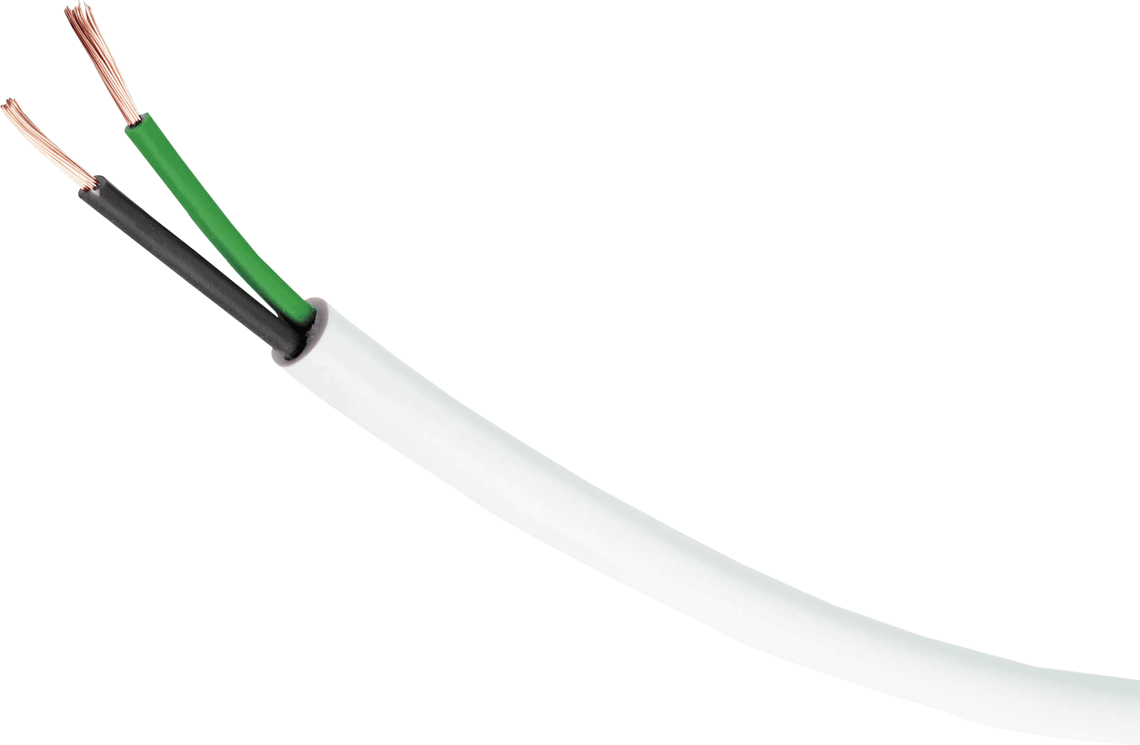 Vector