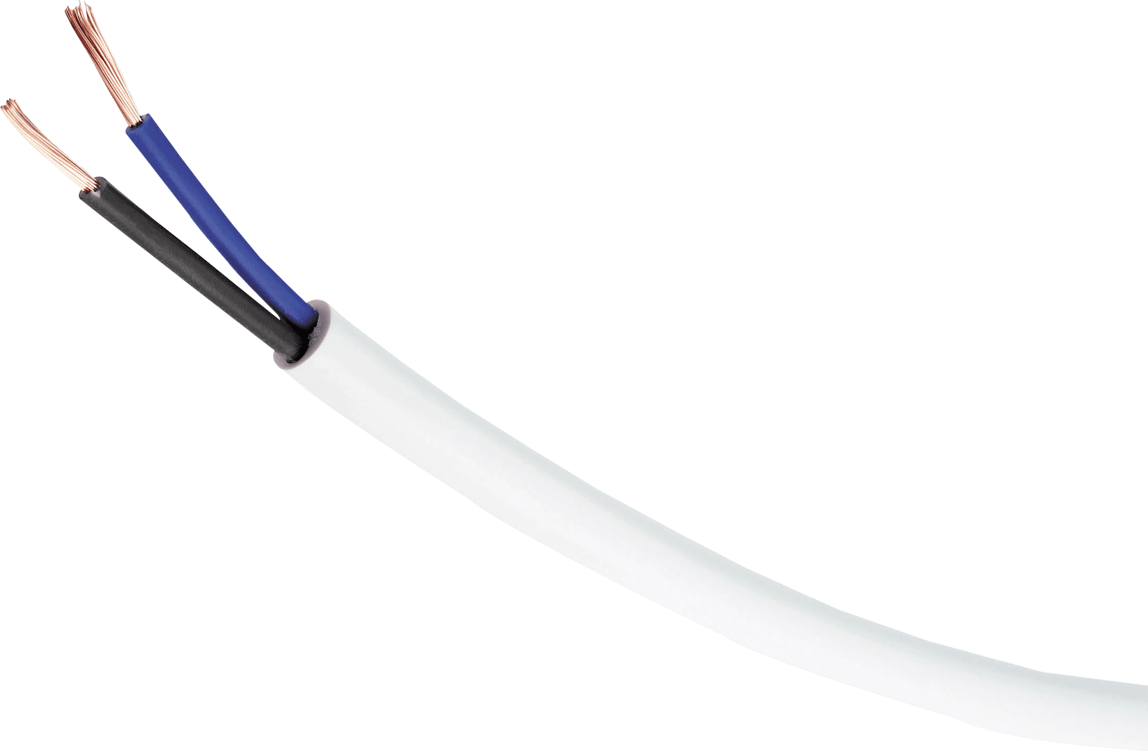 Vector
